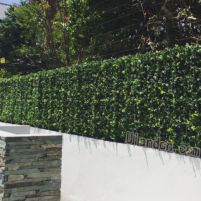 ����ֲ��S�ң���(y��u)�m�£�