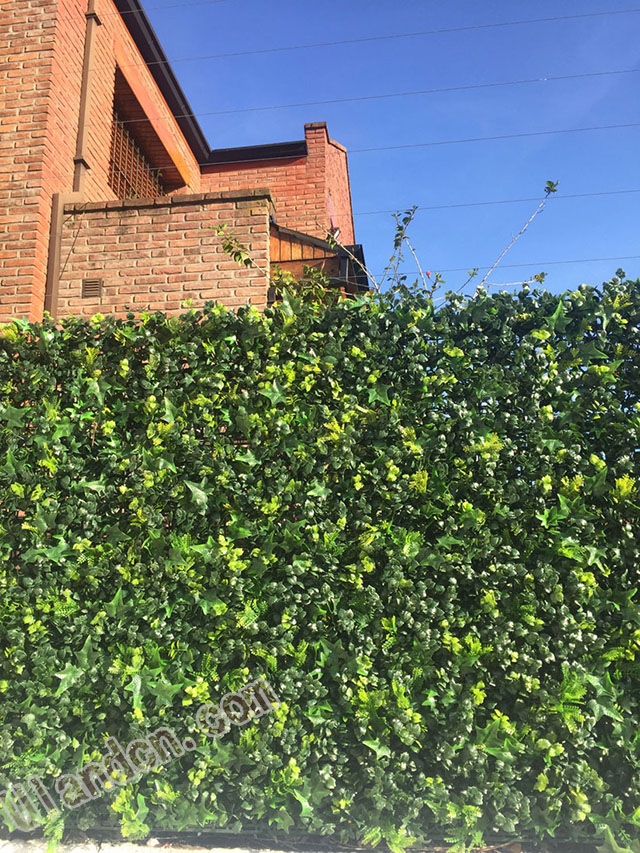 ����ֲ��S�ң���(y��u)�m�£�