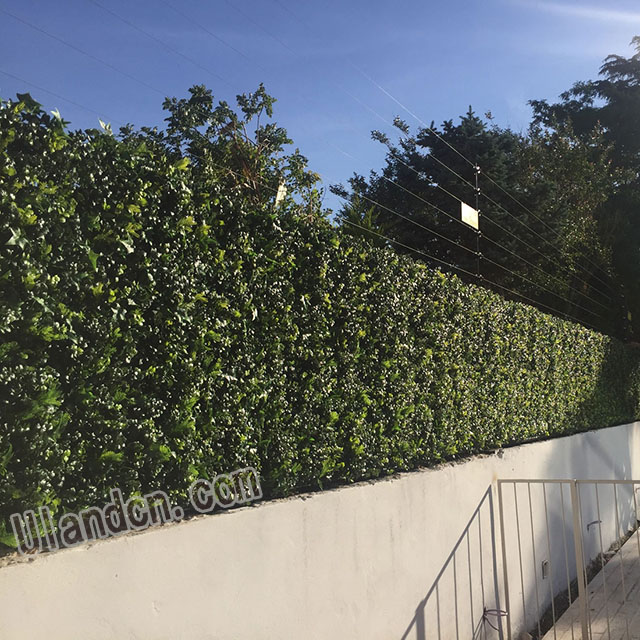 ����ֲ��S�ң���(y��u)�m�£�