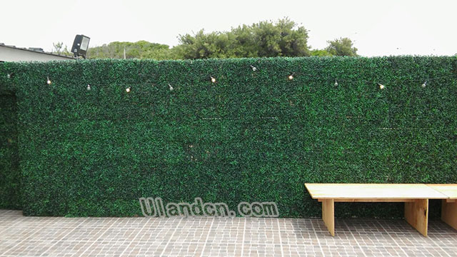 ����ֲ��S�ң���(y��u)�m�£�