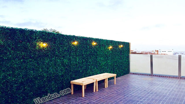 ����ֲ��S�ң���(y��u)�m�£�