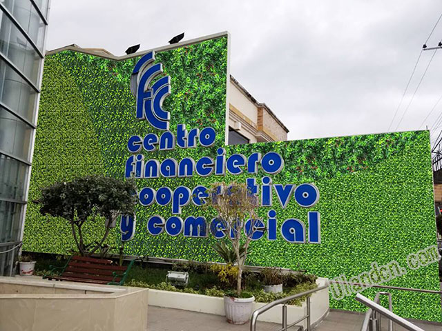 ����ֲ��S�ң����m��