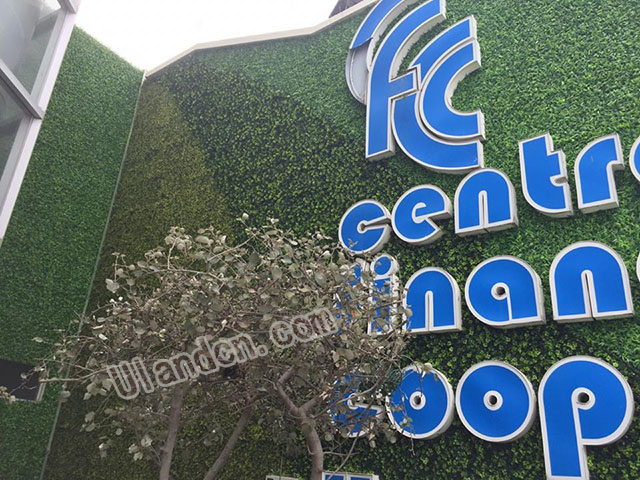 ����ֲ��S�ң����m��