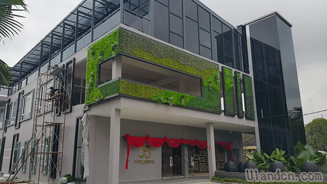 ����ֲ��S�ң���(y��u)�m��