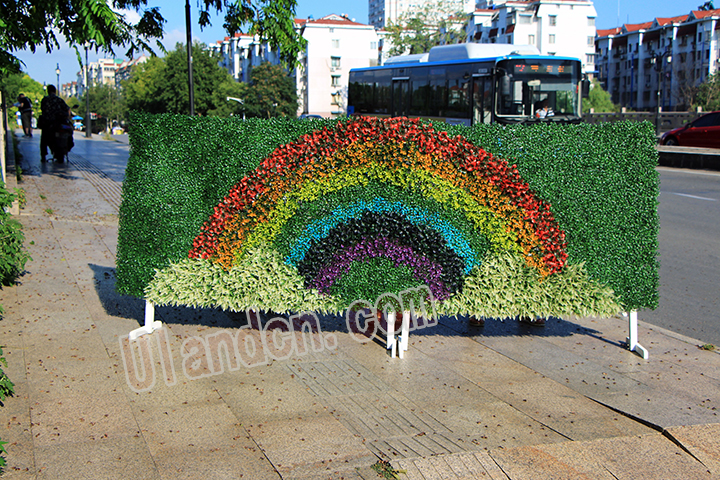 �������ֲ�