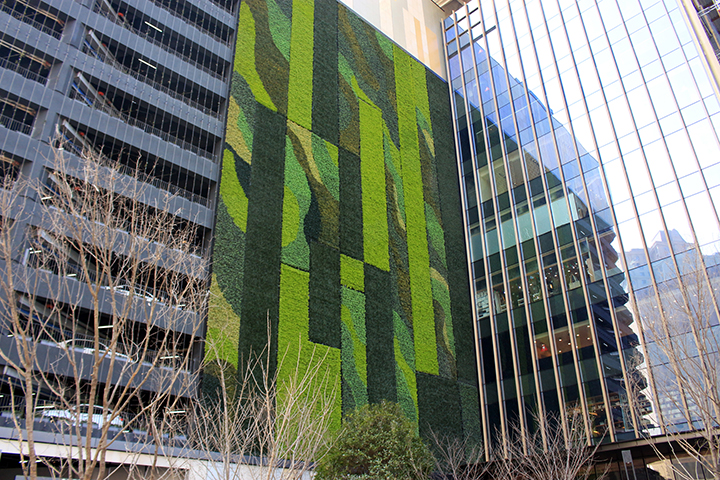 �����≦����ֲ�