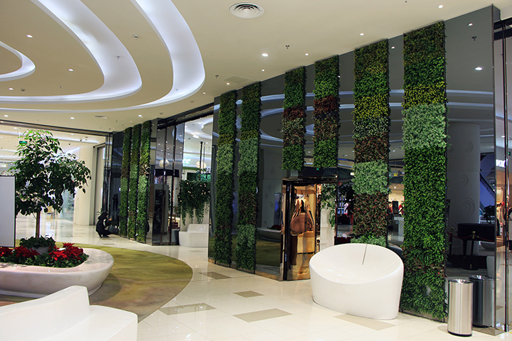 �҃ȷ���ֲ�