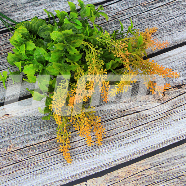 �������ֲ��