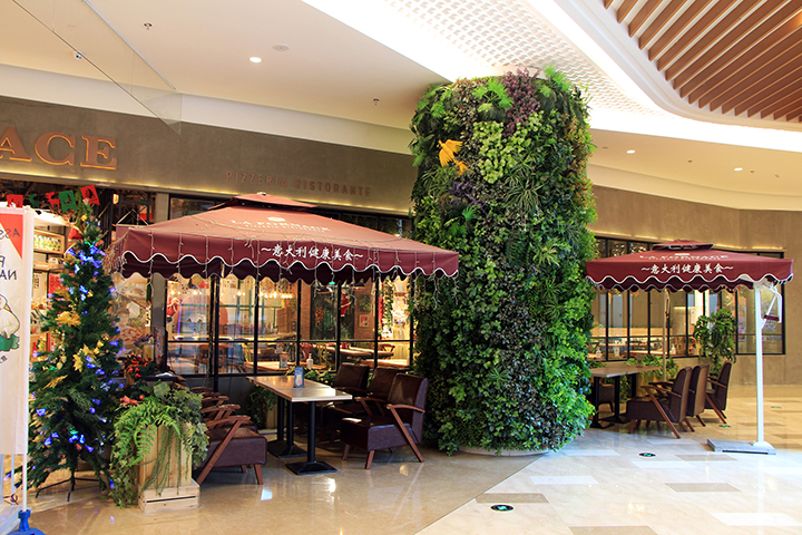 �̈��ȵķ���ֲ�