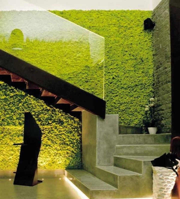 �Ƶ��d����̦�\ֲ�