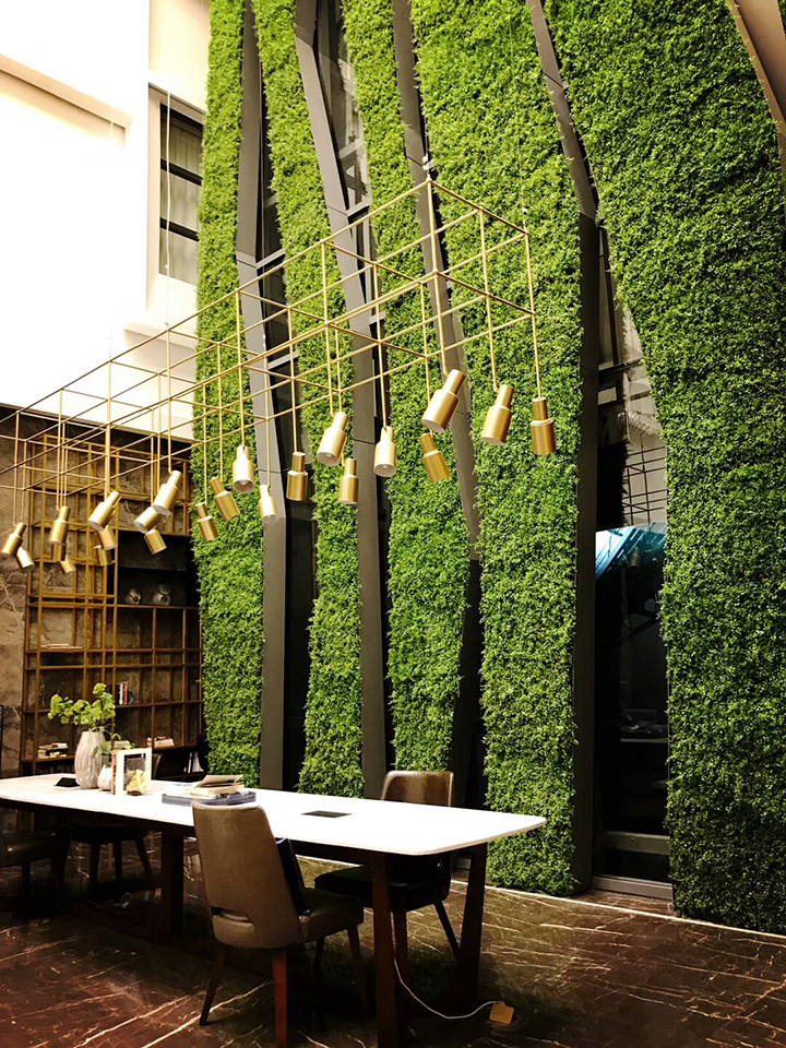 �Ƶ����ֲ�