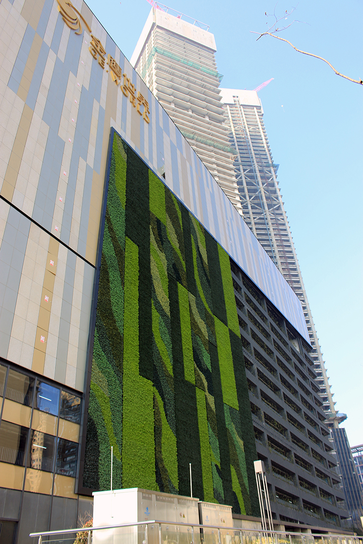 �������ֲ�Ч���D