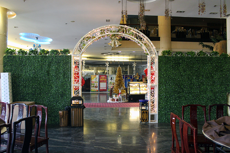 �҃�(n��i)����ֲ��Ч���D