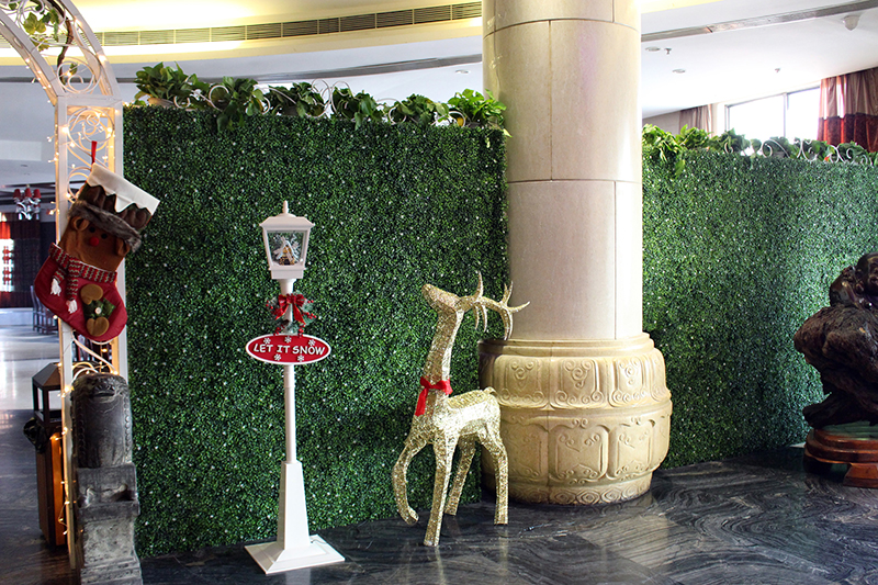 �҃�(n��i)����ֲ��Ч���D