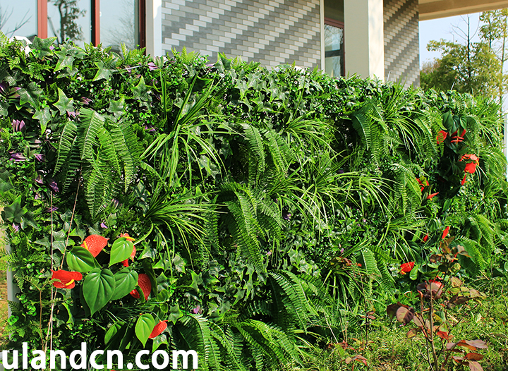 �������ֲ��