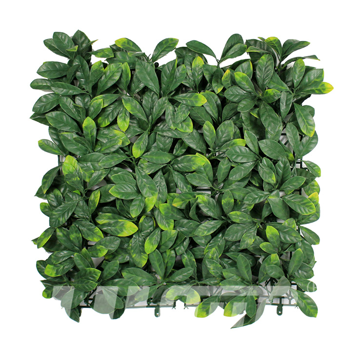 ����ֲ����~