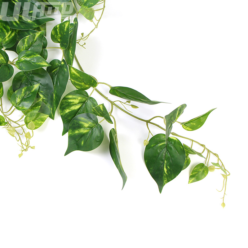 �������ֲ��