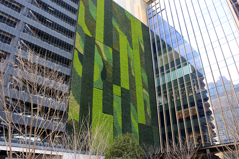 �����≦����ֲ�