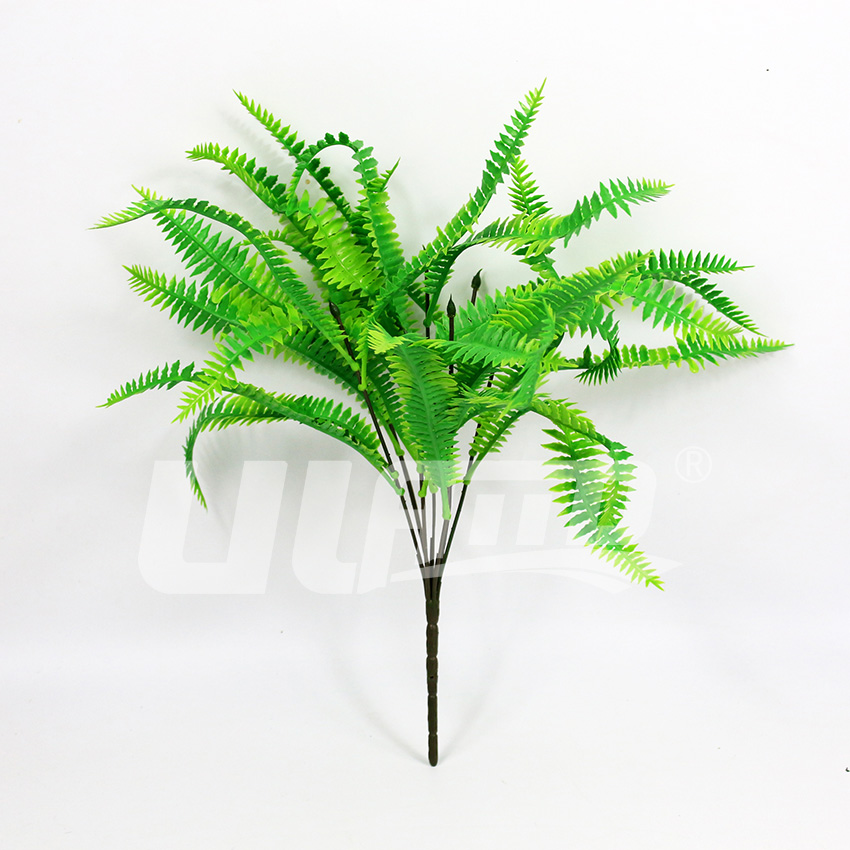 �������ֲ��