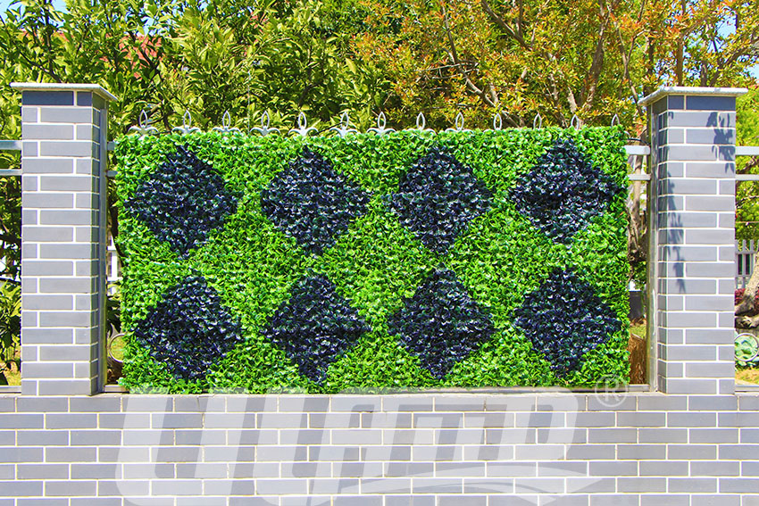 �e���������o�ڷ���G��