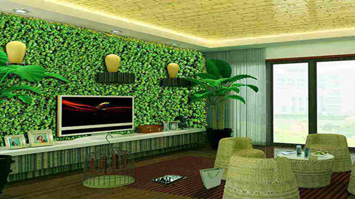 �͏d�Gɫֲ�ﱳ����