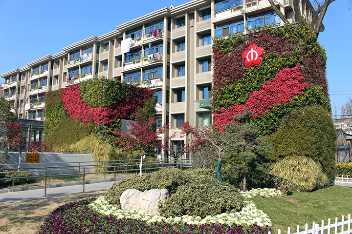 �������ֲ�