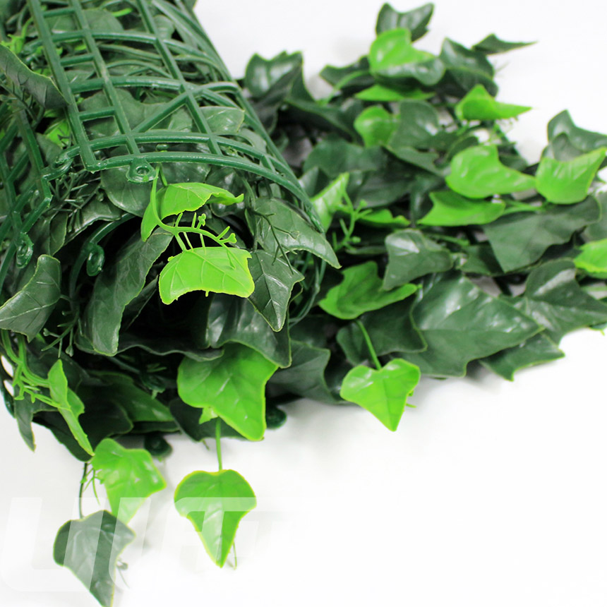 ����ֲ��A005����D