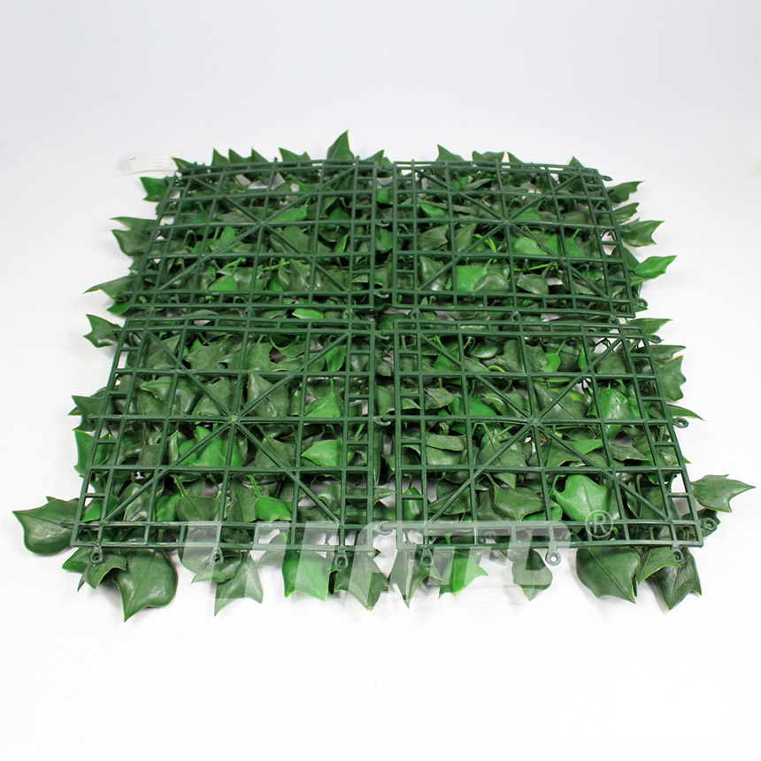 ����ֲ��A005Ƭ��D