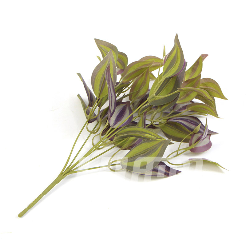 ����ֲ��DS31