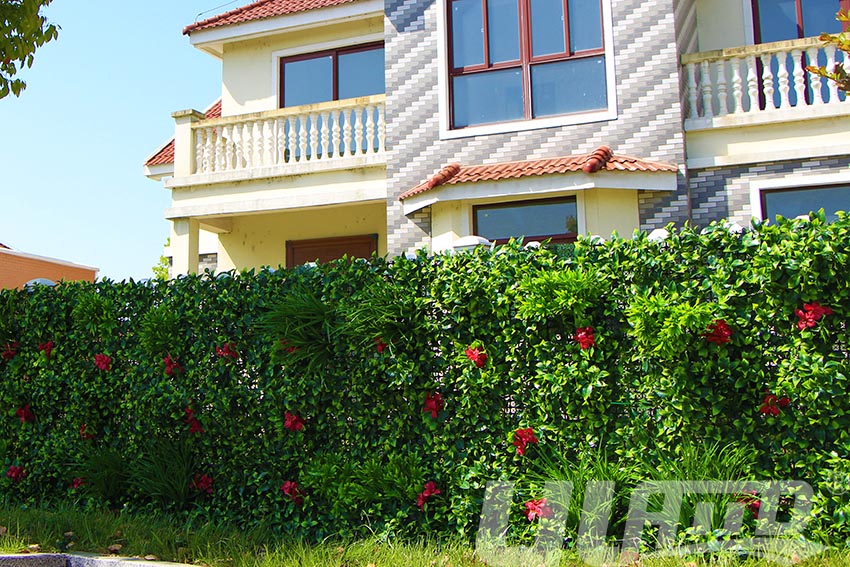 ����ֲ�����