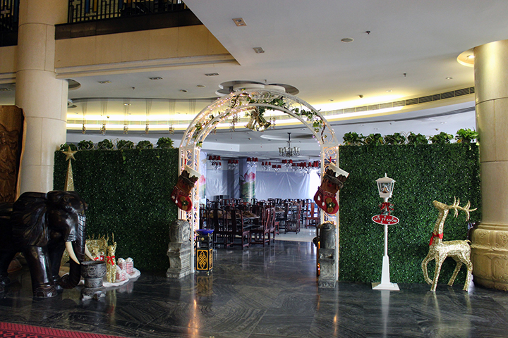 ������ֲ�