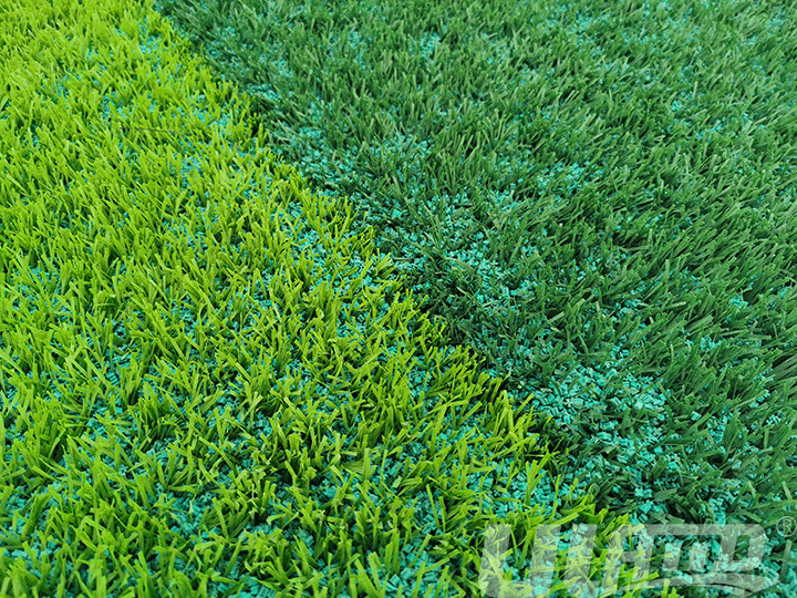 �����ƺ�����