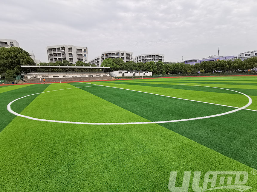 ����������ƺ