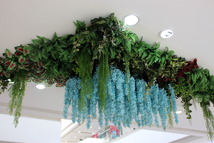 ʹ�÷���ֲ���픵��̈�