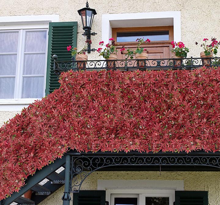 ����t���~�����D