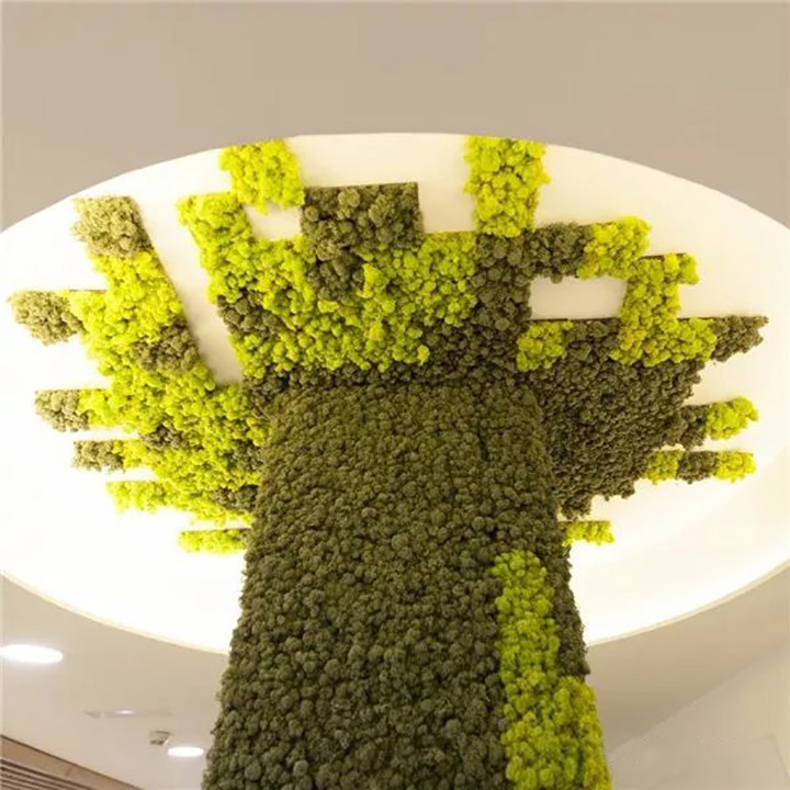 ����̦�\�b�����