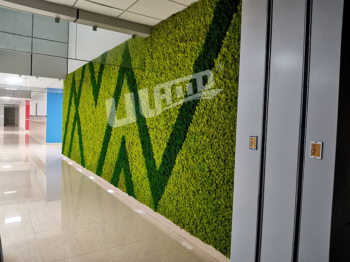 �̌W������̦�\������