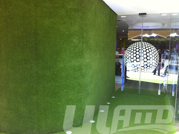 �̈�����G������ƺ