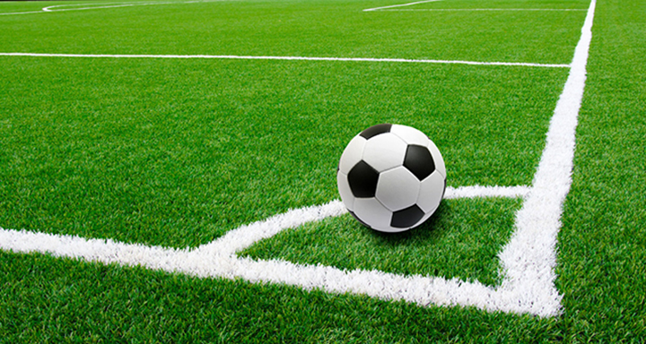 ����������ƺ