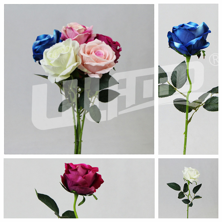 ����õ�廨