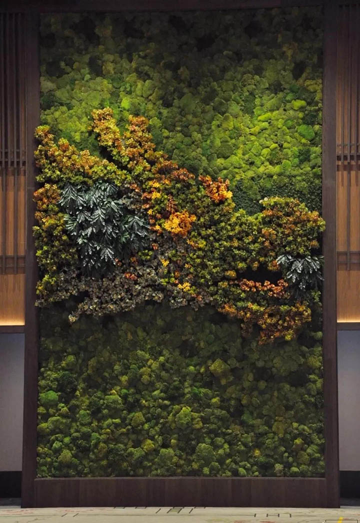 ̦�\ֲ��ӷ���ֲ��