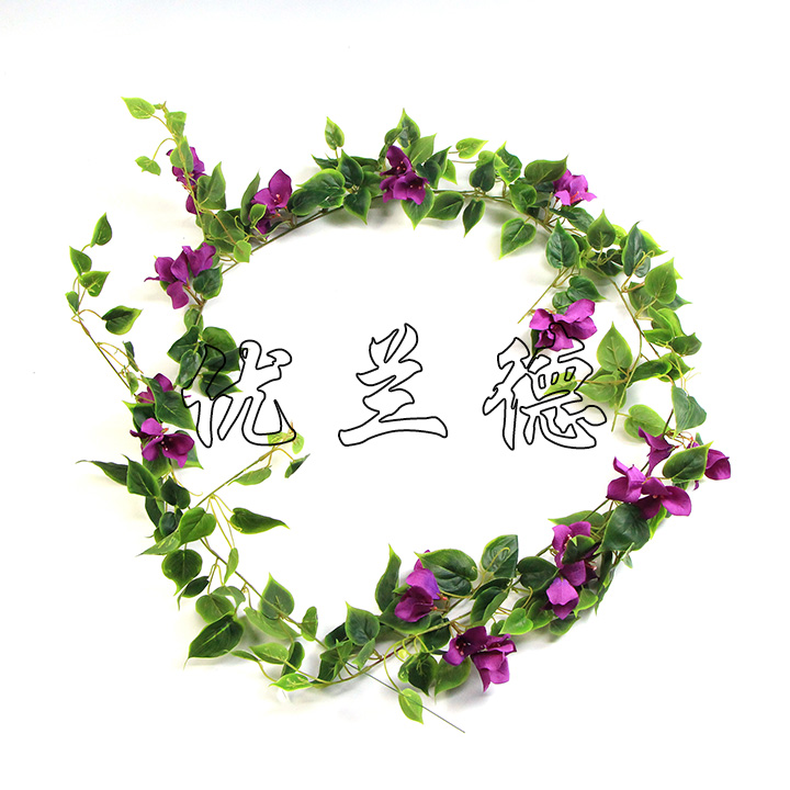 �����ٗl����÷��ɫ