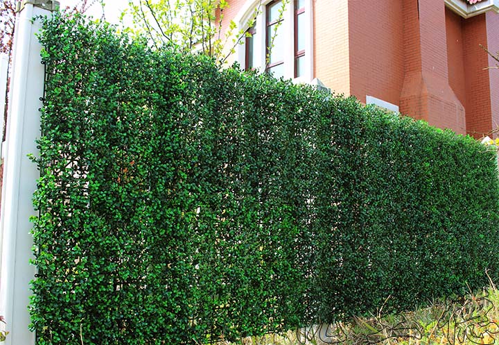 ����ͥԺֲ����������̰���