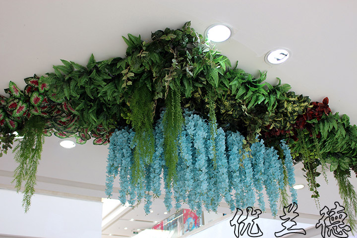 �̈�(ch��ng)����ֲ����