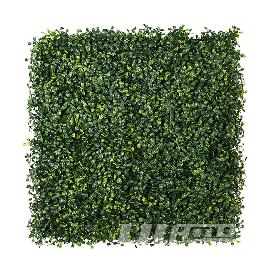 ����ֲ�����m�S