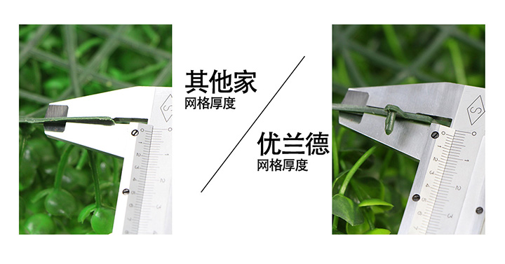 ����ֲ��W����