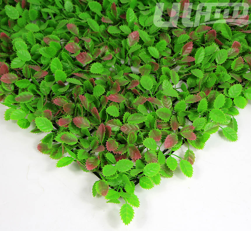 ����ֲ��A053