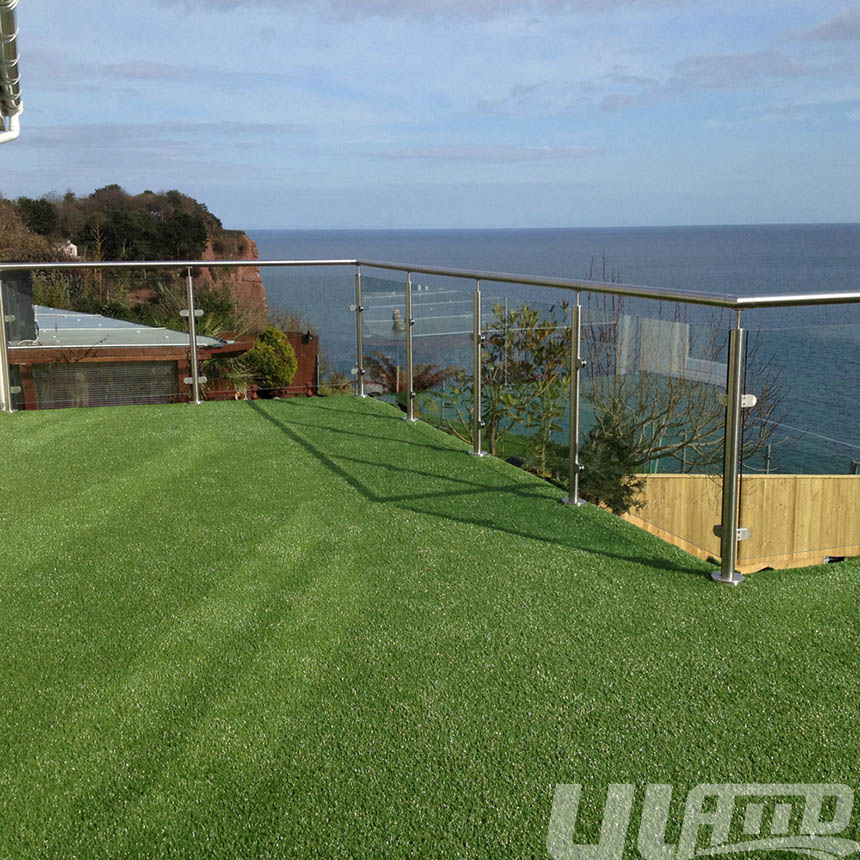 ��_�ϵķ����ƺ