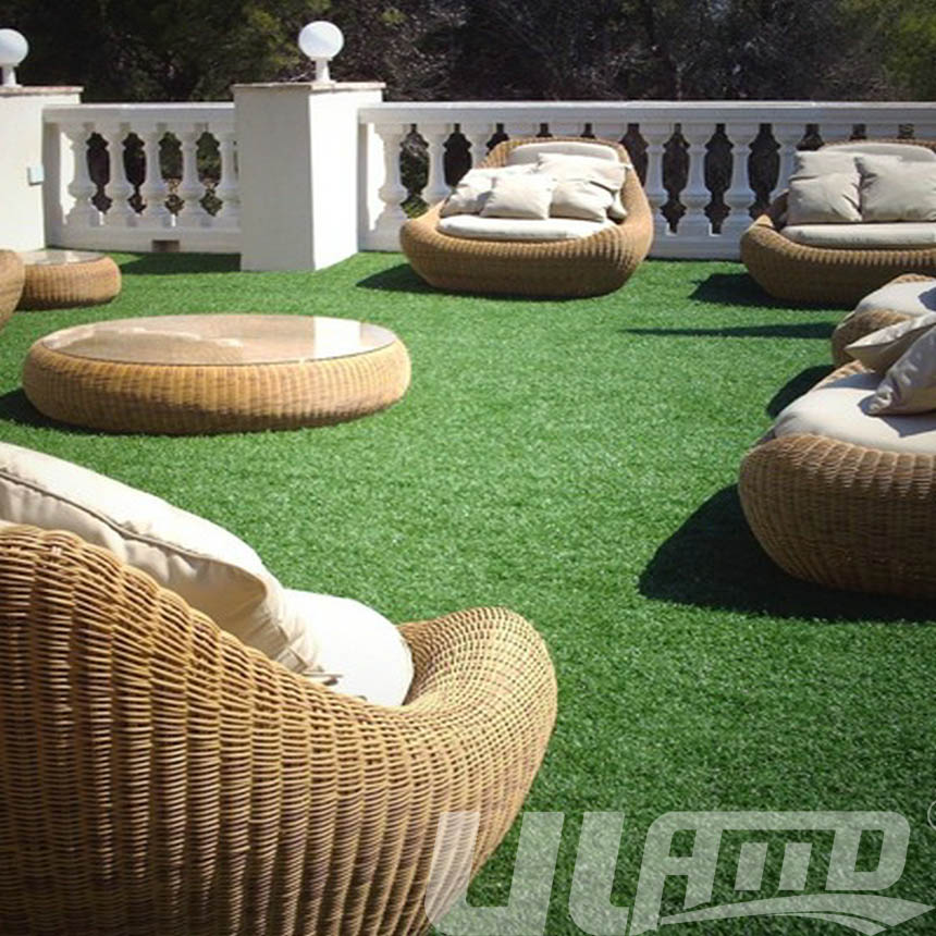 �����ƺ-���e��