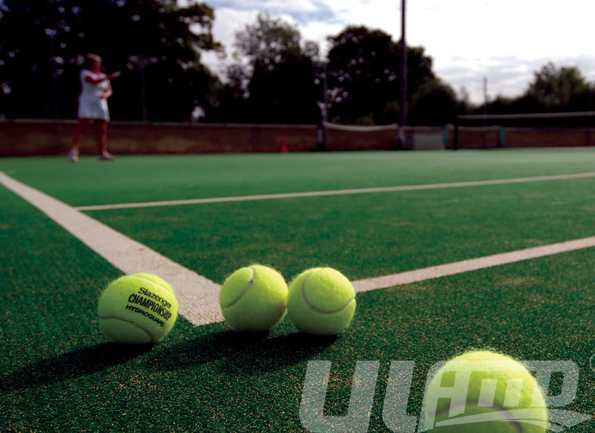 �W(w��ng)��������ƺ�ֲ�Ч���D